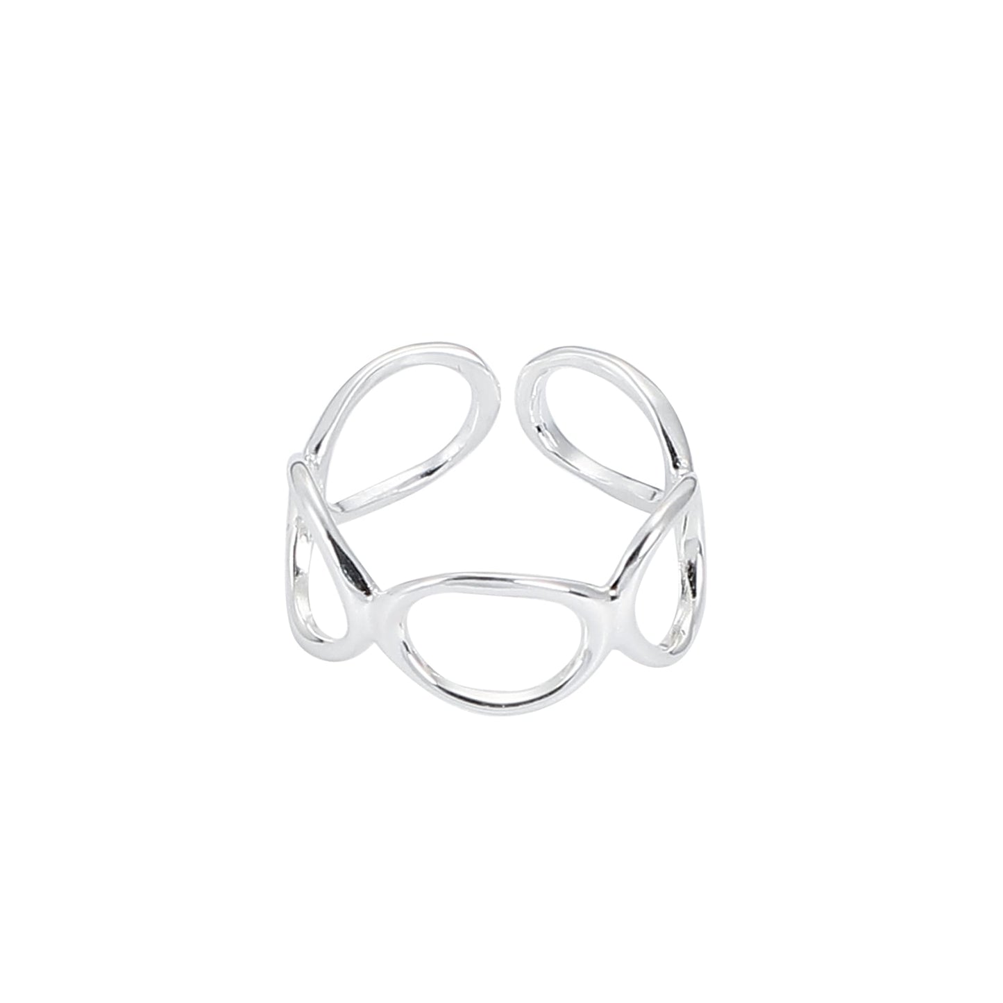 chain ring (R16)