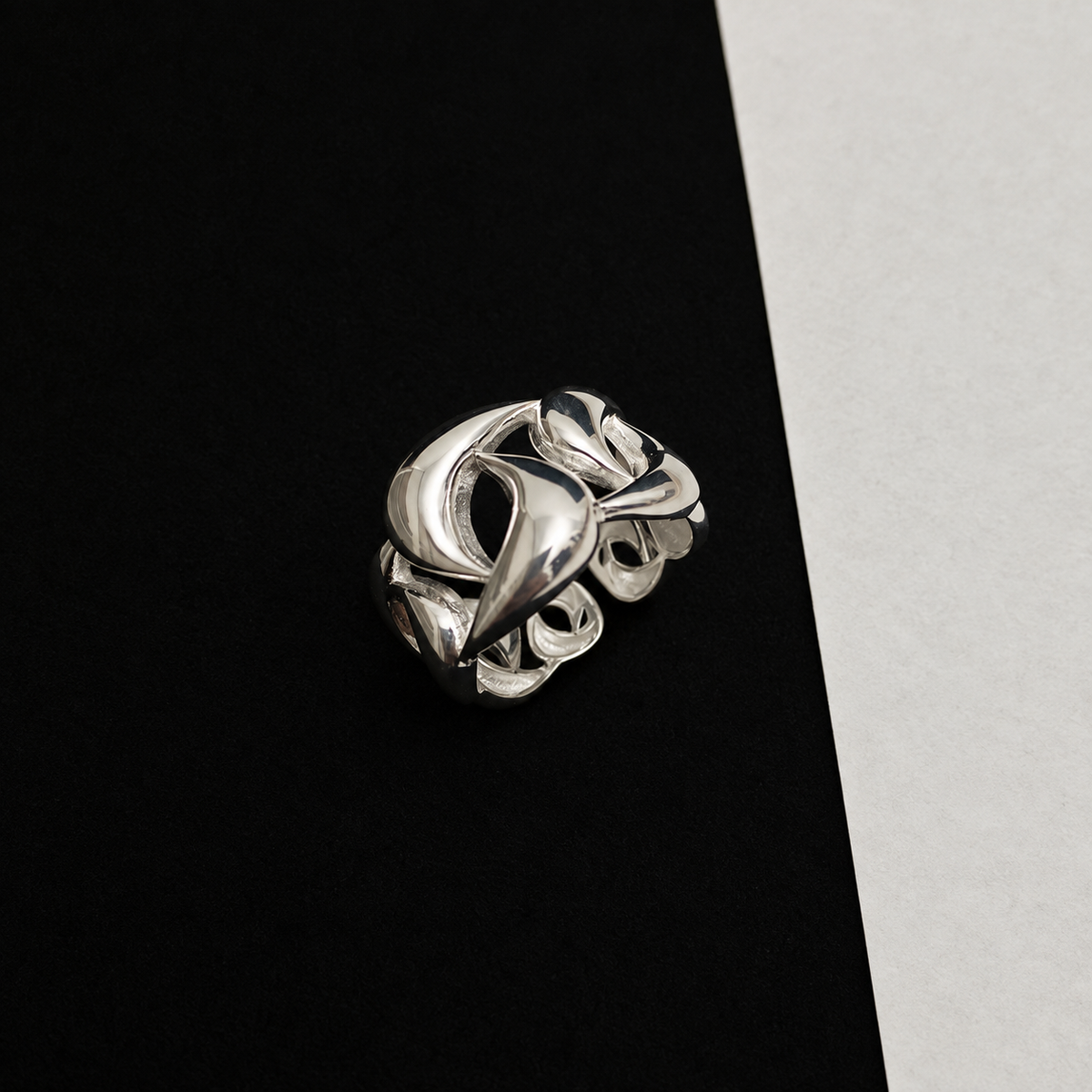chain ring (R41)