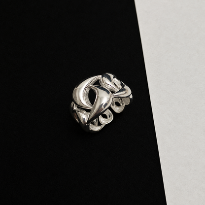 chain ring (R41)