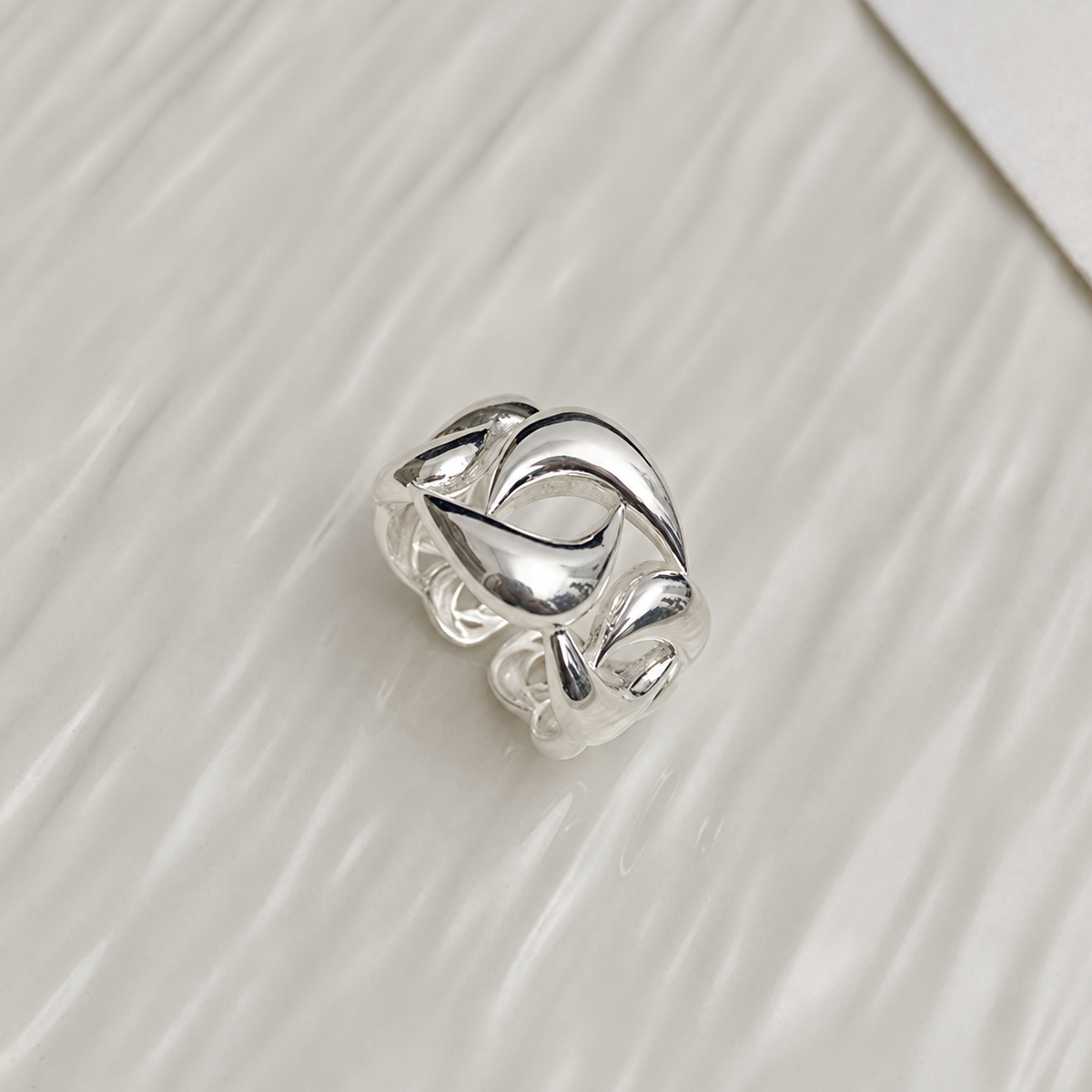 chain ring (R41)