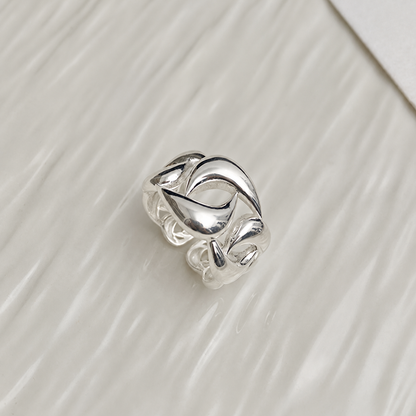 chain ring (R41)