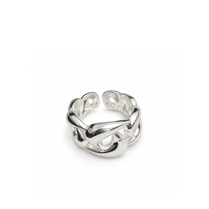 chain ring (R41)